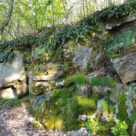بيت ضيافة Karkonosze 3*