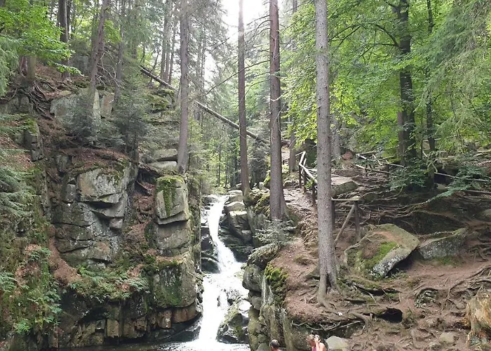 Karkonosze 셰시에카