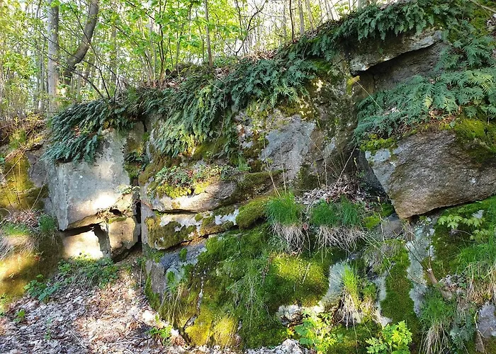 게스트하우스 Karkonosze 3*